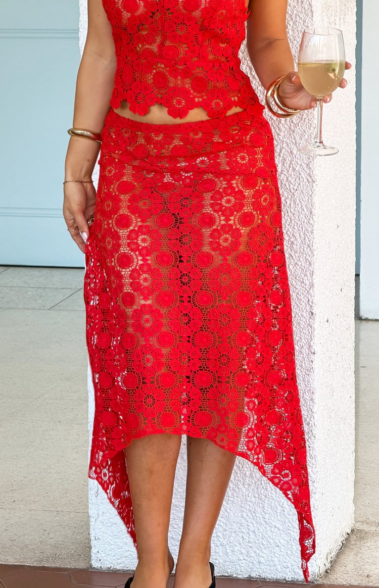 Lioness Trophy Rouge Crochet Midi Skirt view 4